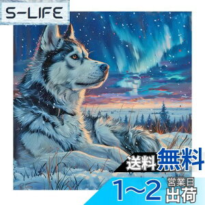 yzJISHSHAY _ChA[g lpr[Y 40x40cm _ChA[g T r[YA[g ㋉ 5D _ChA[g I[ GLbg DIY ᒆ̘T _ChA[g  