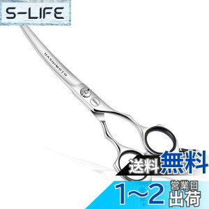 yzHASHIMOTO ybgpnT~AȂnAṽybgO[}[gp܂ (6.5 C`)