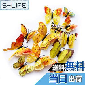 yzULIN  3D  EH[XebJ[ ǎV[  ʃe[v V[ rO ① CeA ǃV[  킢 EH[y[p[ |X^[ CG[