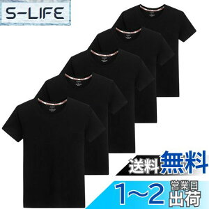 yz[SIPERLARI] Ci[Vc Y 5g 100% RۖhLH N[lbN TVc 炩  (ubN, 4XL={2XL)