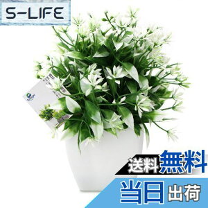 yzTOSSOW lHϗtA  tFCNO[ tFCNϗtA l CeA v[g ΂Ɣt