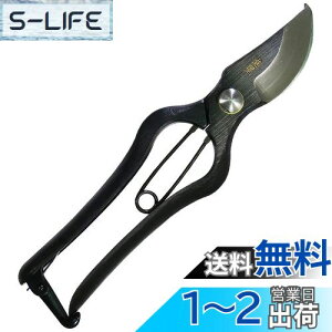 yzߗ^(KONYO) { ł  炩Ȑ؂ƊmȐ؂ꖡ ̂Â̊XuVOsv̏ɂ`Zp 20.5cm