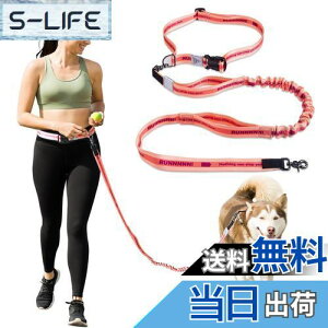 yzJC HOUSE  [h ^ ^p jO[h nYt[ xgt P U WMO p[h 2 Lk  xޗ ݐ؂h~ ׏d100kg s