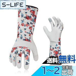 yz[Vgo...] fB[X K[fO[u  rJo[ gQh~ rv| p O  Ɨp (Size L,zCg,GA9658)