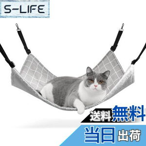 yzComSaf L nbN xbg Q[Wp Q ē~p q\ ω׏d10KG 56x48cm qLLKpiO[ `FbNj