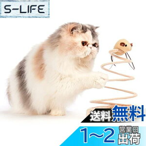 yzL ] lY~ Lpmߋ VԔ TCUʂ V ^s XgX L炵̂ (˂)