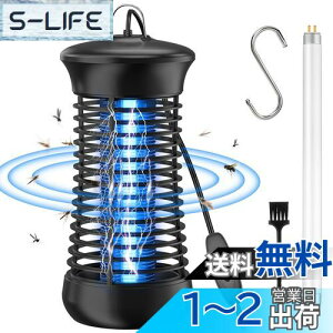 yzy2025vV&͂ɎEz dE sunnila  RoG ߒ E ECg d UVzߒ Ꮬ 쏜  U @ ȒP UVC