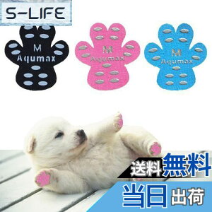 yzAqumax 48 ~ pbh   pbh  ybg CS͂ ~  ی h~ ׂ ~ tbg  p pbh-d؂̏犊藎̂hgNV