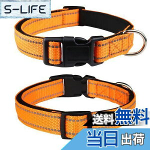 yzTHAIN   ̎ ^A^A^p q  y ybgpi ˍޗ iC ʋC e͐ _炩 ߉\ (L, IW)