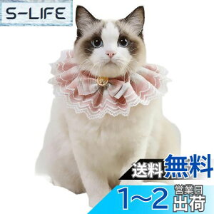 yzTengcong L̎ lR  悾ꂩ     ߉\ y ybgp lN^C 킢 y ^  Lp ybgpi (S, sN)