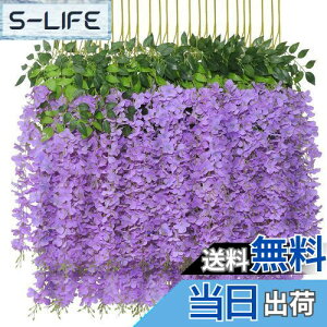 yzsiawadeky ̉  12{ lH lHϗtA ͂Ȃ ΂̗t 艺 ԏ x_ K[f  p[eB[ Ǒ ԗ VN ʐ^Be 뉀 