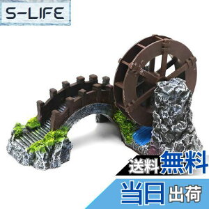 yzCharmoon ANAE ۋ   a B VF^[ A  IuWF