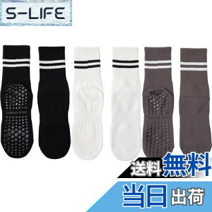 yz[DFsucces] K\bNX ~ KC 3 Õ\bNX  ۉ seBX \bNX RۏLC z z ʋC X|[c tBbglX I[V[YΉ 