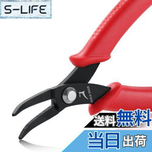 yzGOLD DEER Ȃ胉WIy` at ^ ~j  Ȃy` ɍ Ȃy` bȃWIy` ȂvC[ xg ׂƂ WG[쐬p 