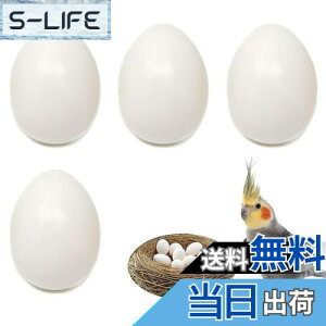 yzPAVIKE U  4Zbg CR tFCN`LGbO bgngɐBpi lHlXg HiTv tFCN_~[GbO IJCR ERCR RUNC