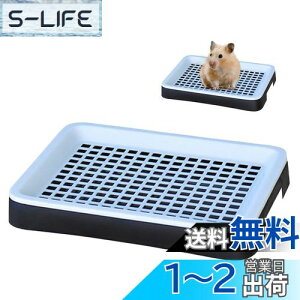 yzPAVIKE gC y25*19.5*3cmzbggC gCg[ Ch bVt ybgpiAȒPAAtFbgA``AETMAgCg[j