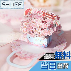 yzKesote J[h  bZ[WJ[h 2Zbg  |bvAbv o^C    t