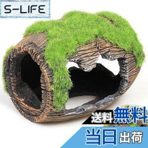 yzPAVIKE  B E[p[[p[ _J  GrB ۂނCM  CAEg ANAE  IuWF  I[ig   ^ u  ߋ 