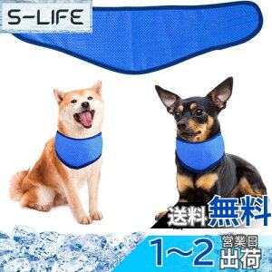 yzpN[o_i N[lbN p⊴O ybgpp pN[XJ[t p^I ybgp⊴ pXJ[t {[_[ ΍ObY ₷ 