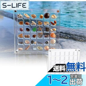 【送料無料】siawadeky 貝殻 ディスプレイ ボックス 2個セット 全透明 マグネット式 ミニ貝殻ボックス 防水 防塵 アクリル製 シェル収納ケース 巻貝 ヒトデ ネイル ビーズ 小物入れ 磁気ケース