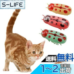 yzKASELIN d  3Zbg drL񂨂 dCybĝ  L ߋ lV QԂ@\ Cat'sbug! ĂƂ ~jdqJugV LpC^N