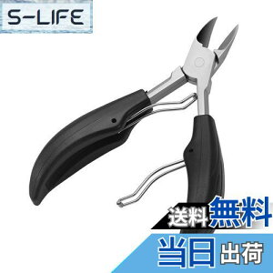 yzPAKESI pܐ؂ p vdl ZLZCCRAIJCȐ^CR`^CREIEp