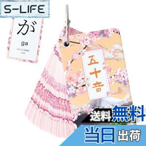 yzPAVIKE Ђ炪ȃJ[h J[h ЉJ[h  J[h  {̕׋ Ol  y ^тɕ֗ tbVJ[h ܏\J[h {wKJ[