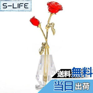 yzKertari ̓̃v[g  av[g lC k9 NX^ o  CeA ͂Ȃ KN t[Mtg j ʉ o^Cf[ ސEj 