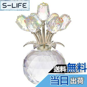 yzKertari av[g lC yKizk9NX^ o ͂Ȃ  KN CeA Mtg j LO ̓ ʉ Əj NX}X ސEj z