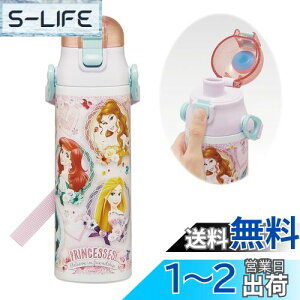 yzXP[^[(Skater) qp XeX   580ml fBYj[ vZX 24 qɗDyʃ^Cv ۗp waterbottle X|[c{g  LbY q ǂ r