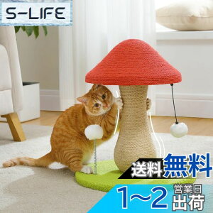 yzPAWZ Road Lbg^[ ~j Ki L ܌ LmR c^ u SʖR ܌|[ ^}S^P ߂ ȃXy[X RpNg VRTCU  KK 