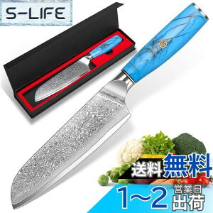 yzKyushuBlade  O _}XJX nn175mm. vp, Lb`p\. łb_}XJX͗l VFtiCt n p, Kтɂ67w̍Yf