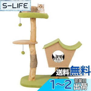 yzGYMAX Lbg^[ 110cm ؐ LnEX L^[ L Lp u  {{t VRR ܂Ƃ ܖ W] 芴 ^s L L