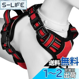 yz[2025ŐV^n[lX]BaoCheng p ^/^/^n[lX p h~ A^}ʂ P݌y TCY\ Ԕˍ Ȃ ʋC ȒP