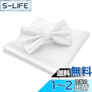 yz[HISDERN] lN^C Y  ^b` `[t Zbg n zCg  tH[} {E^C  ȒPE ߉\ bowtie BR-01