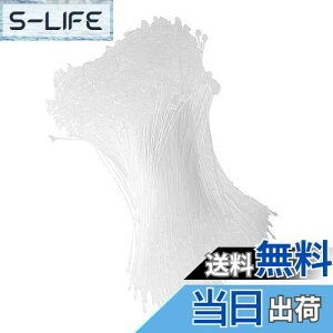 yzDFsucces ^Ot@Xi[ [vbN 1000{ lD ɕ֗ [vs vX`bN Xܗp e[v  ^O Ɩp mp (, 18cm)