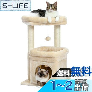 yzPAWZ Road Lbg^[ ~j L^[ ^ Ⴂ  u lC ܂Ƃ|[ ܌ R L̂ RpNg ȃXy[X  S LnEX W] - 68cm x[W
