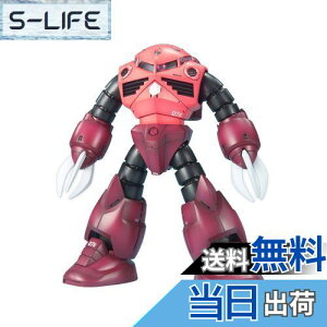 yzBANDAI SPIRITS(o_C Xsbc) MG @mK_ MSM-07S VApYSbN 1/100XP[ Fς݃vf