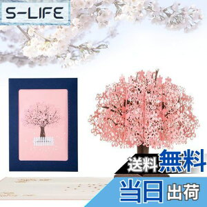 yzKesote bZ[WJ[h  ̃J[h |bvAbvJ[h o^C    t