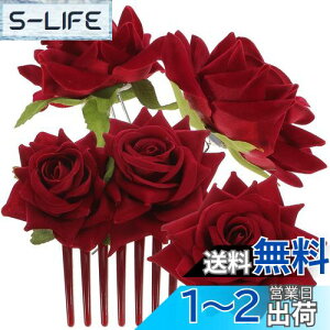 yzLurrose wAs Us R[wAs ԉ  o  KN EFfBOwbhhX ԏ wAR[ 񂴂 ONbv wAANZT[ uC_  a