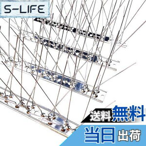 yzONESORA  悯 100%XeX o[hs ϋv y 3mz 悯 XpCN 悯 R LhS JX悯 ̃tQ΍  x_ J[|[g  Ԍ A