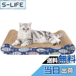 yzBlueekin L ߂Ƃ Lp܂Ƃ _{[ x ϋv ˂ ߂Ƃ }bg ȃXy[X Ƌjh~ ^sP ₵ ʎgp\ L (xbh^)