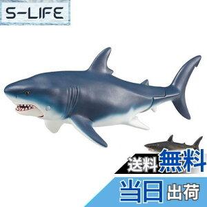 yz^Jg~[ AjA AL-11 Kh (ɕVer.)    3Έȏ