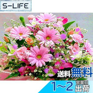 yzDIYNXXeb`Lbg_ChG5DhLbgAsN̔WOWDECORthDIY_ChA[gyCgG (t[Y)