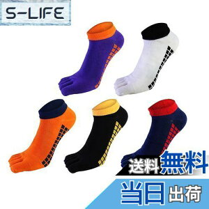 yz[fX] 5{w\bNX C 24-28cm Y ܖ{w\bNX rWlX\bNX VR z RۖhL X|[c\bNX 5Zbg