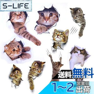 yzPazi EH[XebJ[ L   XebJ[ ˂ V[ 킢 3D ȒP DIY  \Ă͂  ǎ gC  Lb` CeA