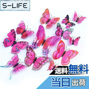 yzULIN  3D  EH[XebJ[ ǎV[  ʃe[v V[ rO ① CeA ǃV[  킢 EH[y[p[ |X^[ p[v