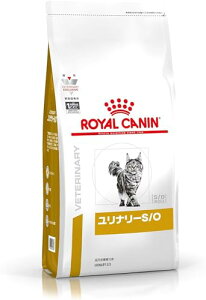 yzCJi L Lbgt[h i[ S/O AH Ö@H hC lR 얞 (2kg, X^_[h)