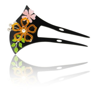 yzYiyiLai ʂ񂴂  wA񂴂 wAANZT[   a   ig