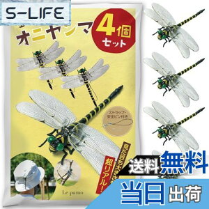 yzLe pumo Ij}  4Zbg A 悯g{ ɂ tBMA Sst Xgbvt ނ 悯͌^ N I悯